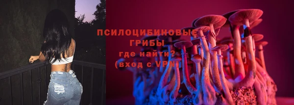 гидра Алексин