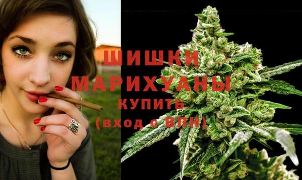 тгк Аркадак