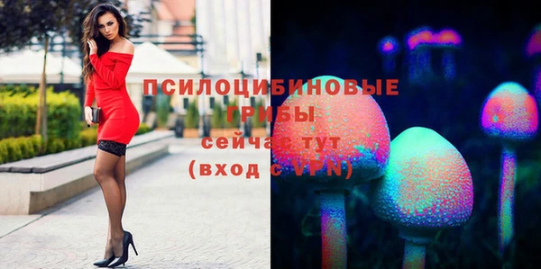 гидра Армянск