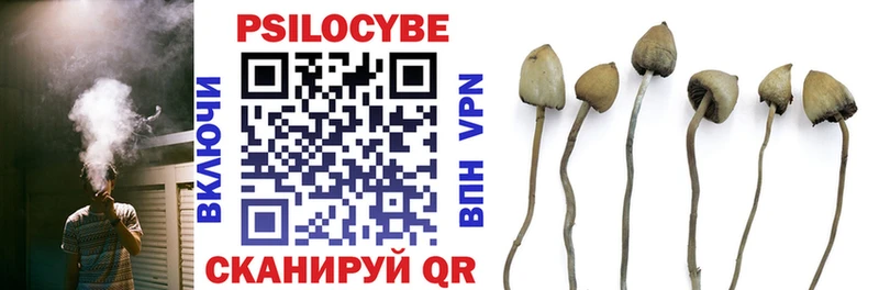 Галлюциногенные грибы Psilocybe  Зеленогорск 